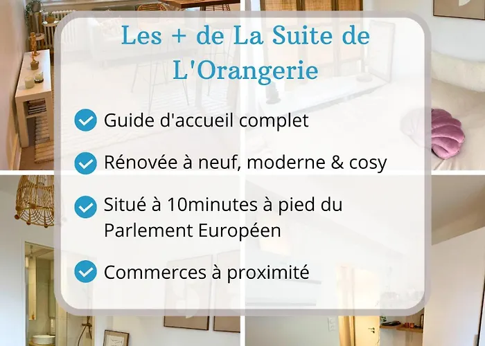 La De L'orangerie - Cosy - Centre - Commerces A Proximite * ストラスブール